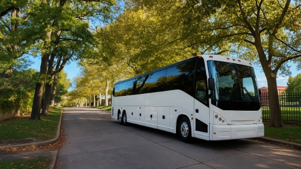 santee bachelor and bachelorette party bus rentals